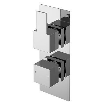 Sanford Twin Concealed Thermostatic Shower Valve with Diverter